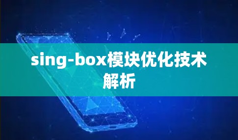 sing-box模块优化技术解析