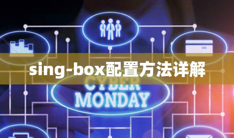 sing-box配置方法详解 sing-box配置方法详解