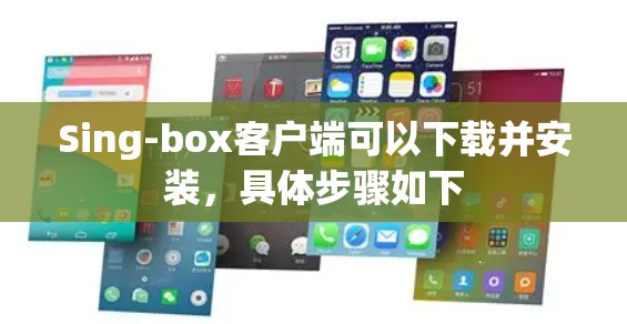 Sing-box客户端可以下载并安装，具体步骤如下