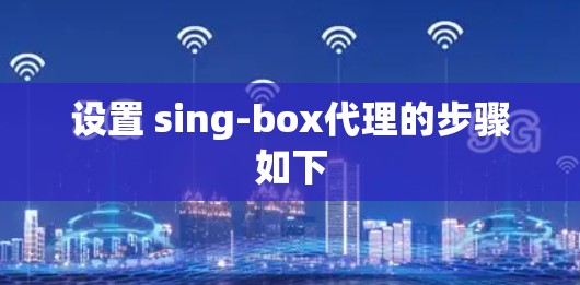 设置 sing-box代理的步骤如下 设置 sing-box代理的步骤如下