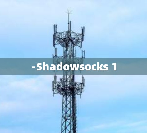 -Shadowsocks 1 -Shadowsocks 1