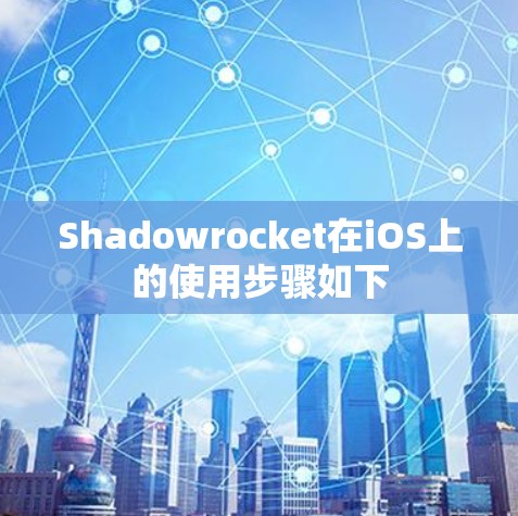 Shadowrocket在iOS上的使用步骤如下 Shadowrocket在iOS上的使用步骤如下
