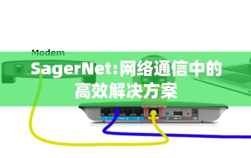 SagerNet:网络通信中的高效解决方案 SagerNet:网络通信中的高效解决方案