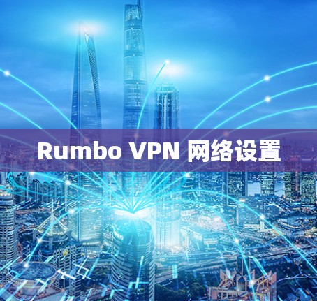 Rumbo VPN 网络设置