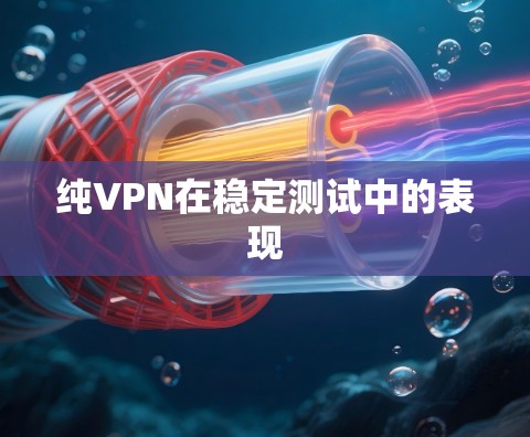 纯VPN在稳定测试中的表现 纯VPN在稳定测试中的表现