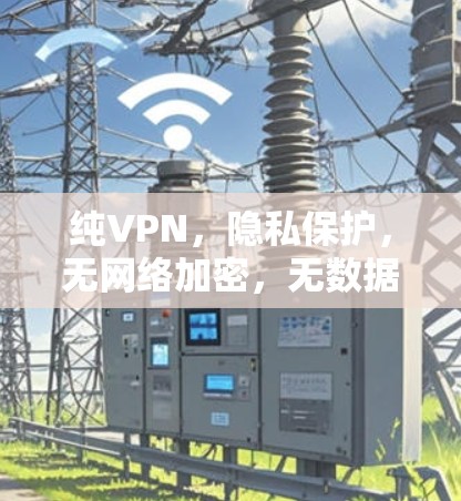 纯VPN,隐私保护,无网络加密,无数据泄露 纯VPN,隐私保护,无网络加密,无数据泄露