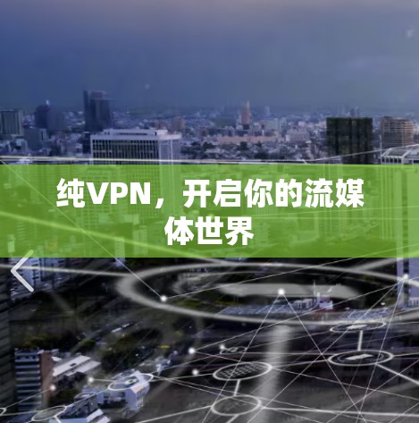 纯VPN,开启你的流媒体世界 纯VPN,开启你的流媒体世界