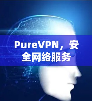 PureVPN,安全网络服务 PureVPN,安全网络服务