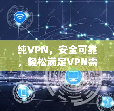 纯VPN，安全可靠，轻松满足VPN需求