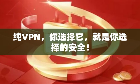 纯VPN,你选择它,就是你选择的安全! 纯VPN,你选择它,就是你选择的安全!